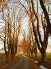 Podve�er