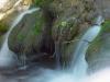 Detail - �eka Krka